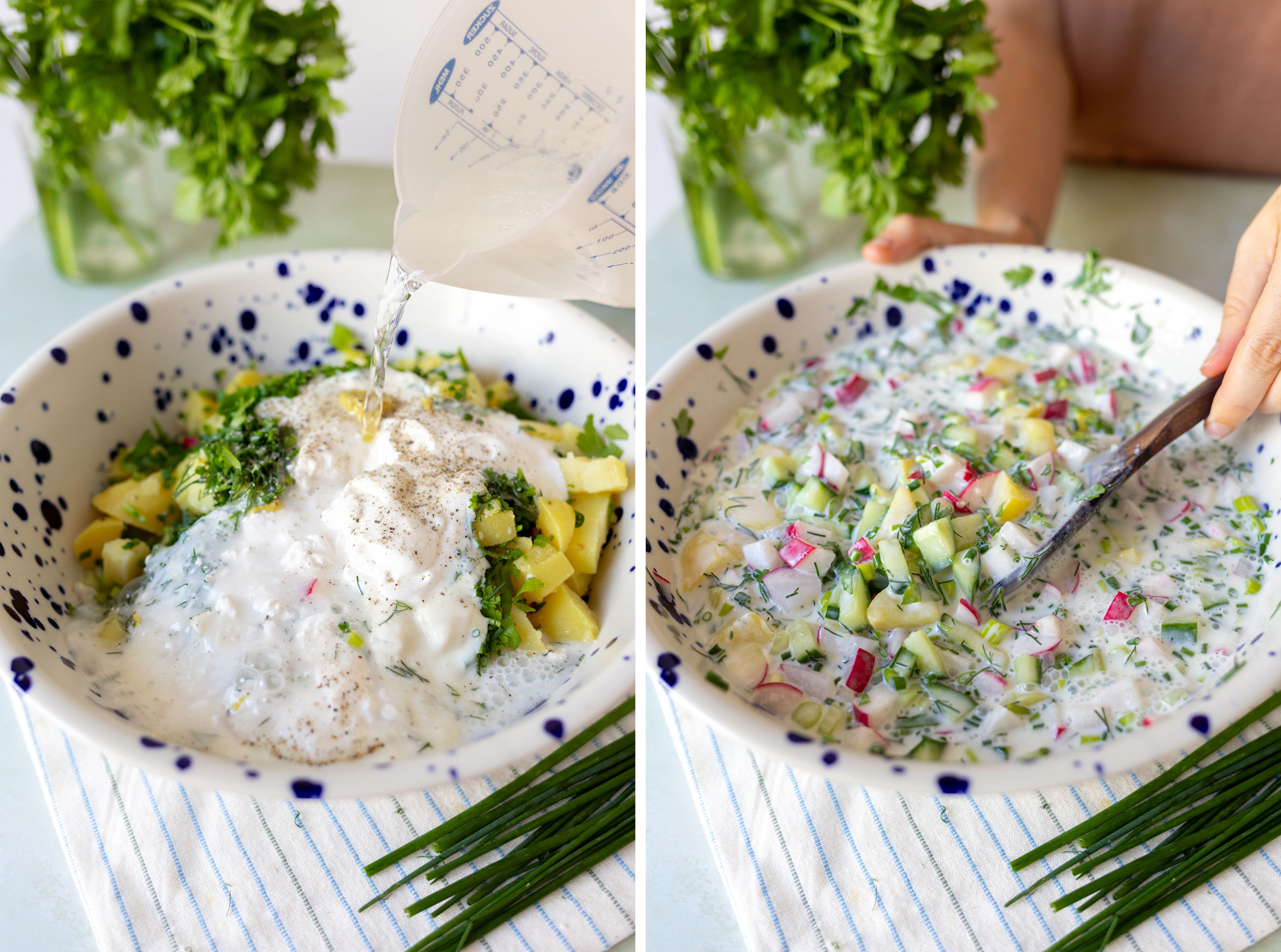 R1047 Vegane Okroshka