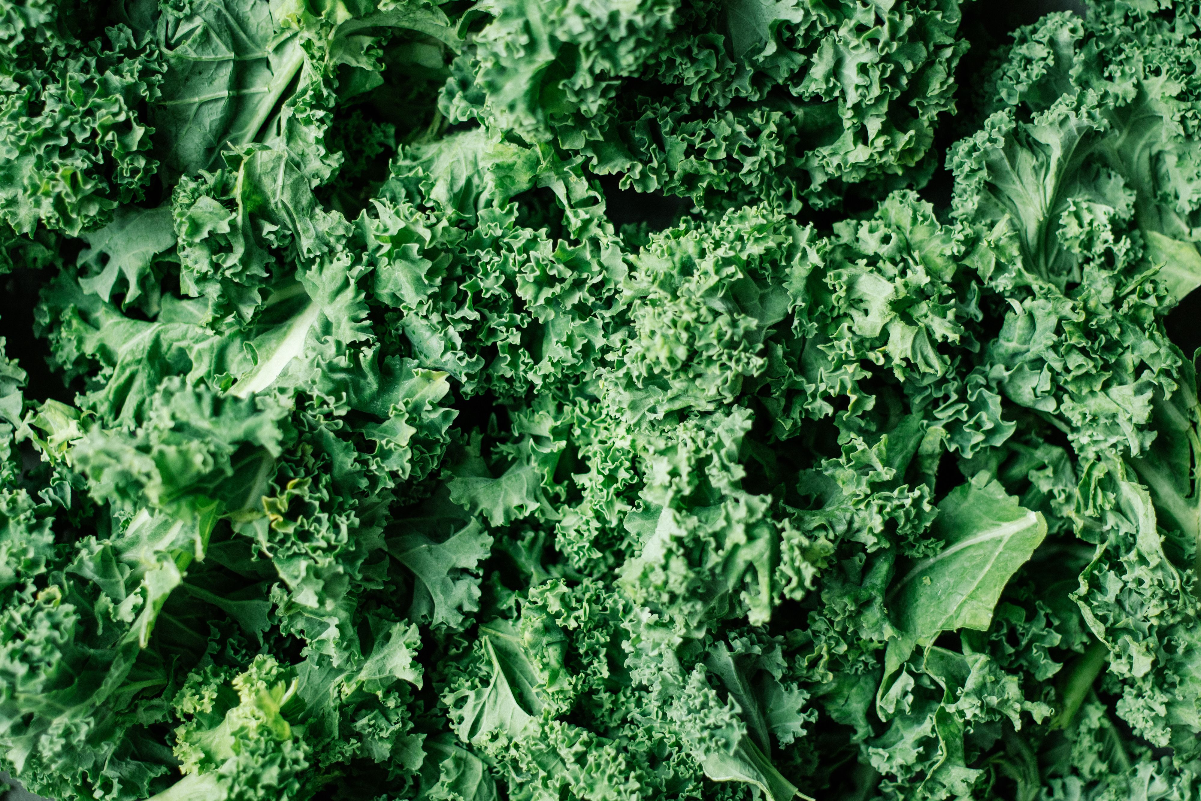 R583 Veganer Grünkohleintopf mit Seitan und weißen Bohnen