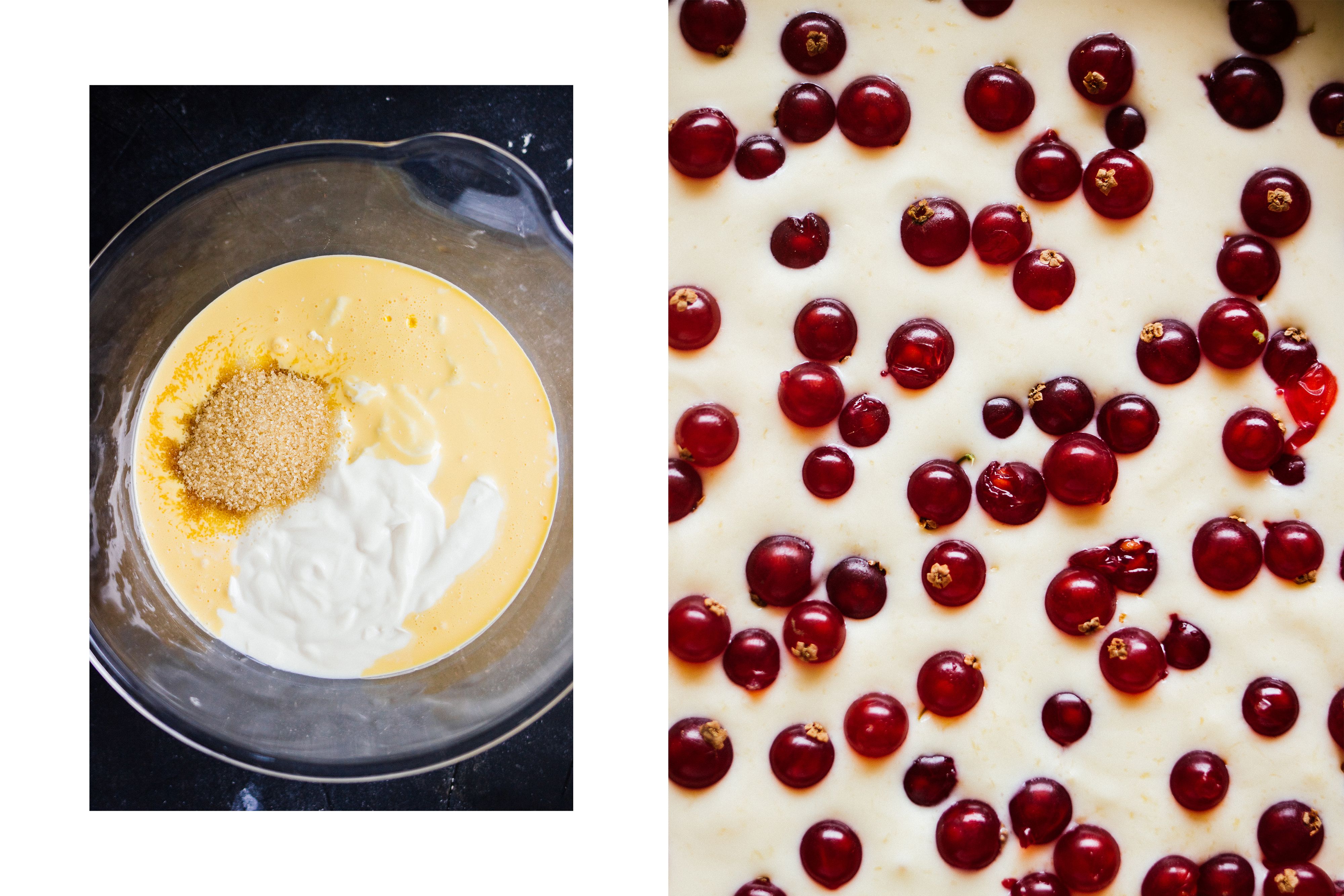 R559 Veganer Schokoladen-Käsekuchen mit Johannisbeeren