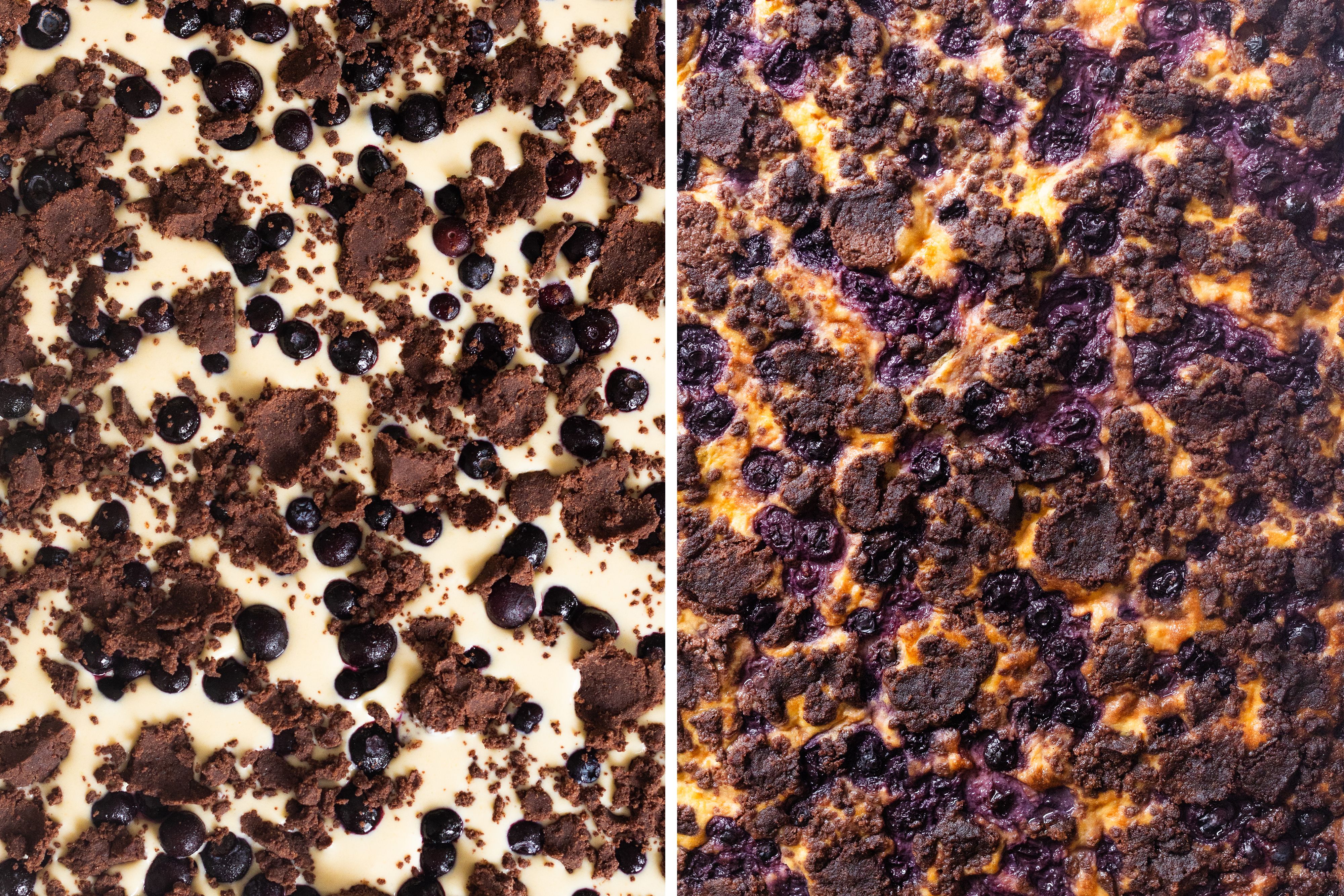 R1051 - Vegan Blueberry Sheet Pan Chocolate Cheesecake