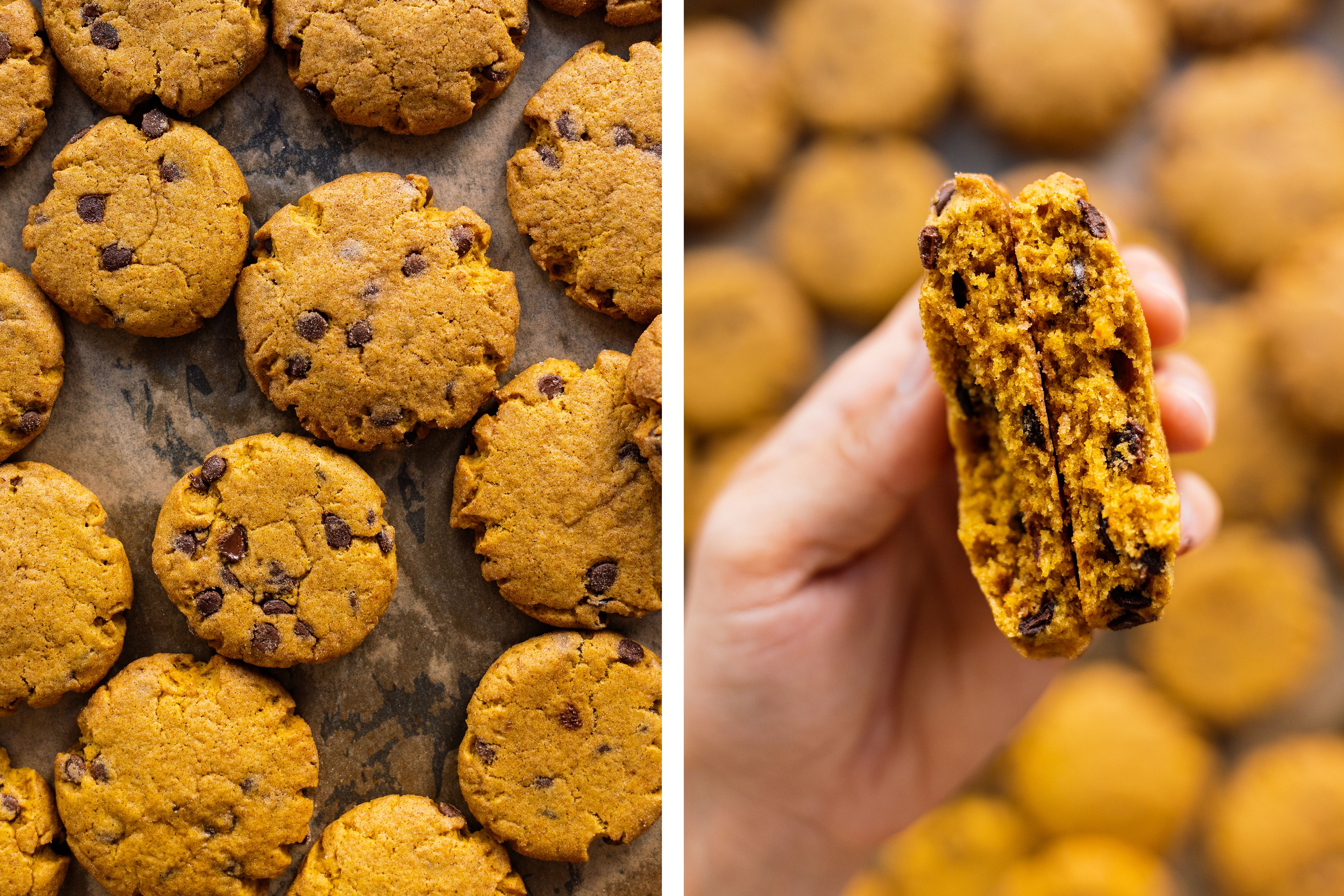 R210 Vegane Snickerdoodles mit Kürbis