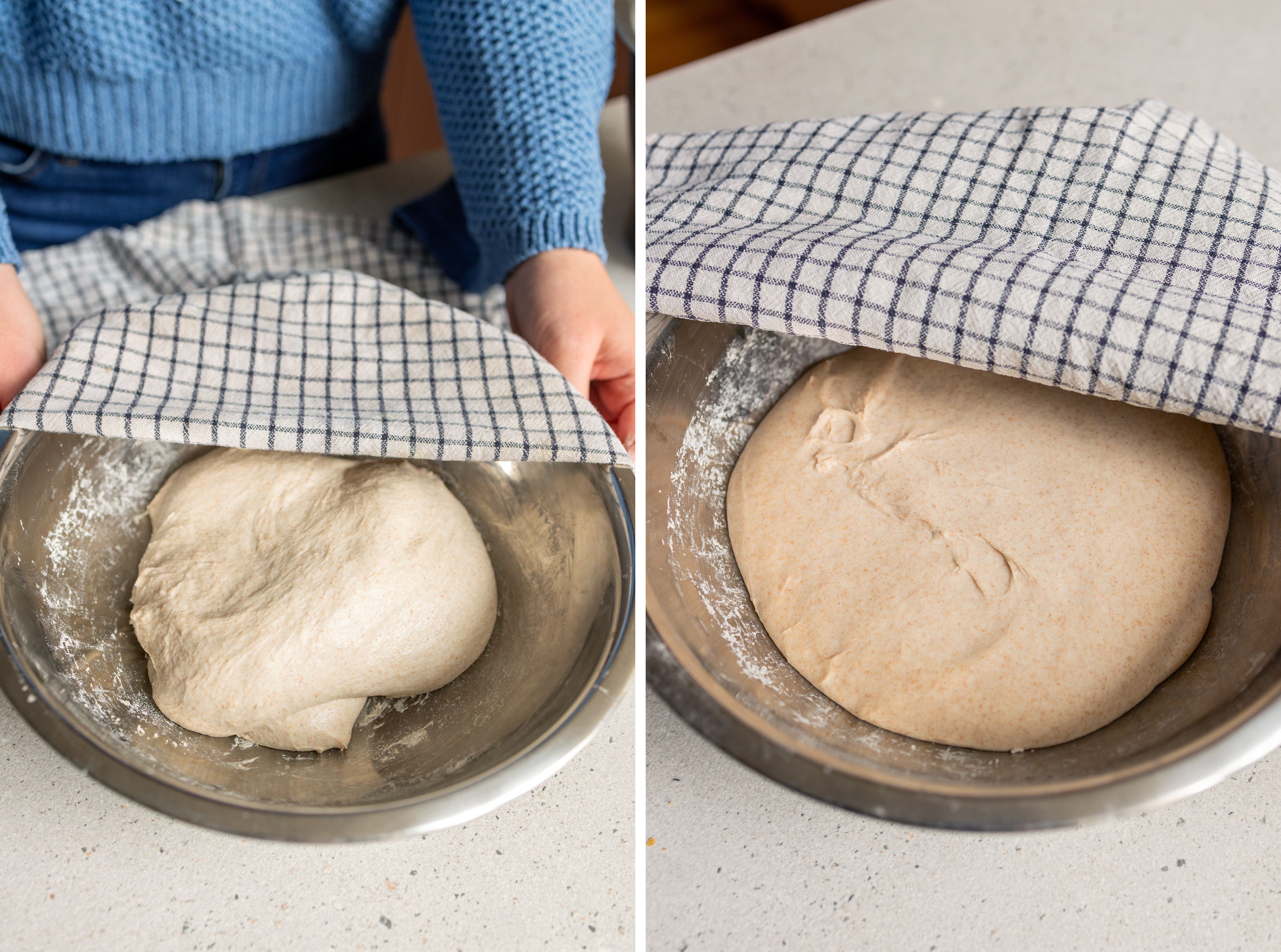 R1046 Einfache Sauerteigbrötchen über Nacht