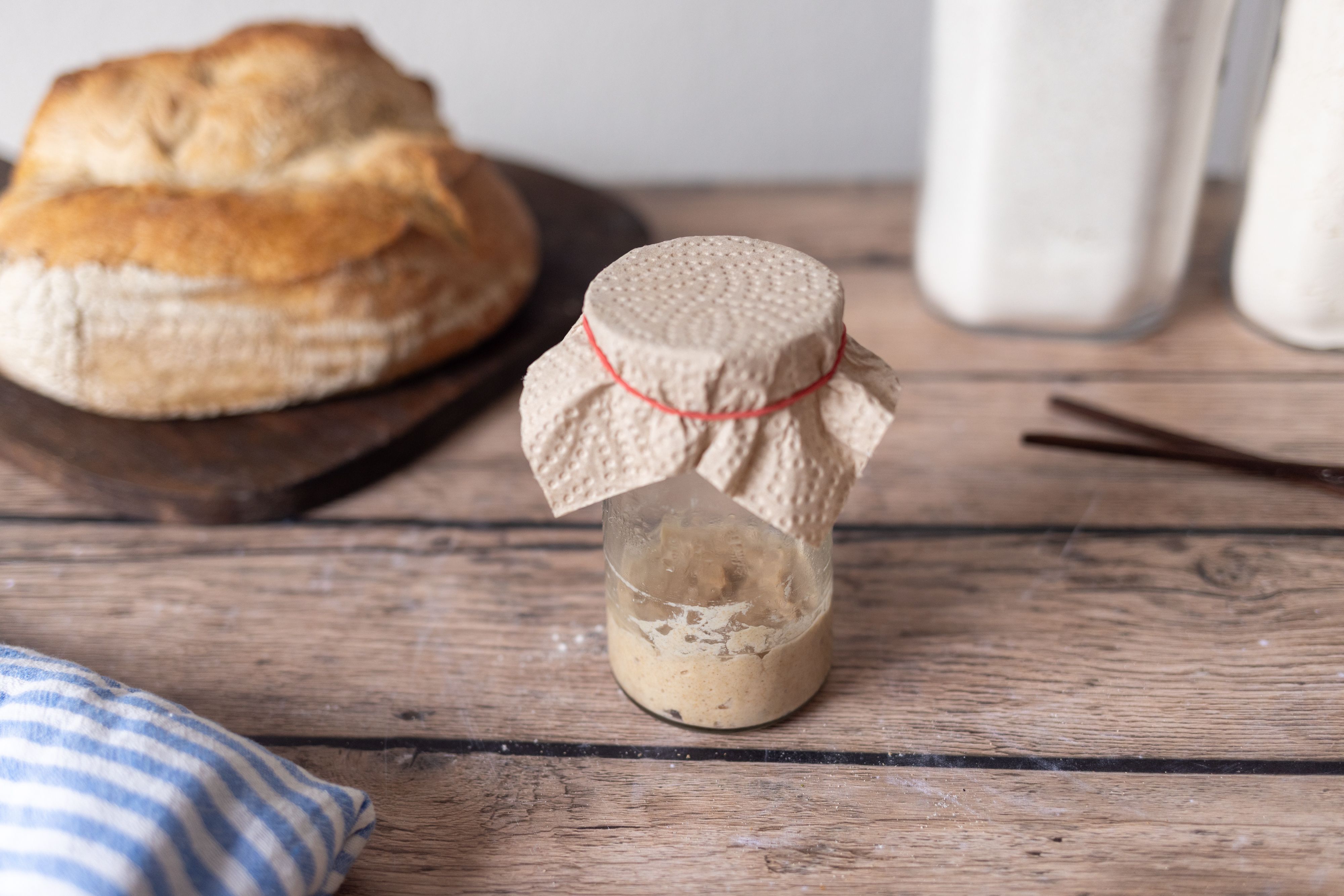 Sauerteig Schritt für Schritt ansetzen