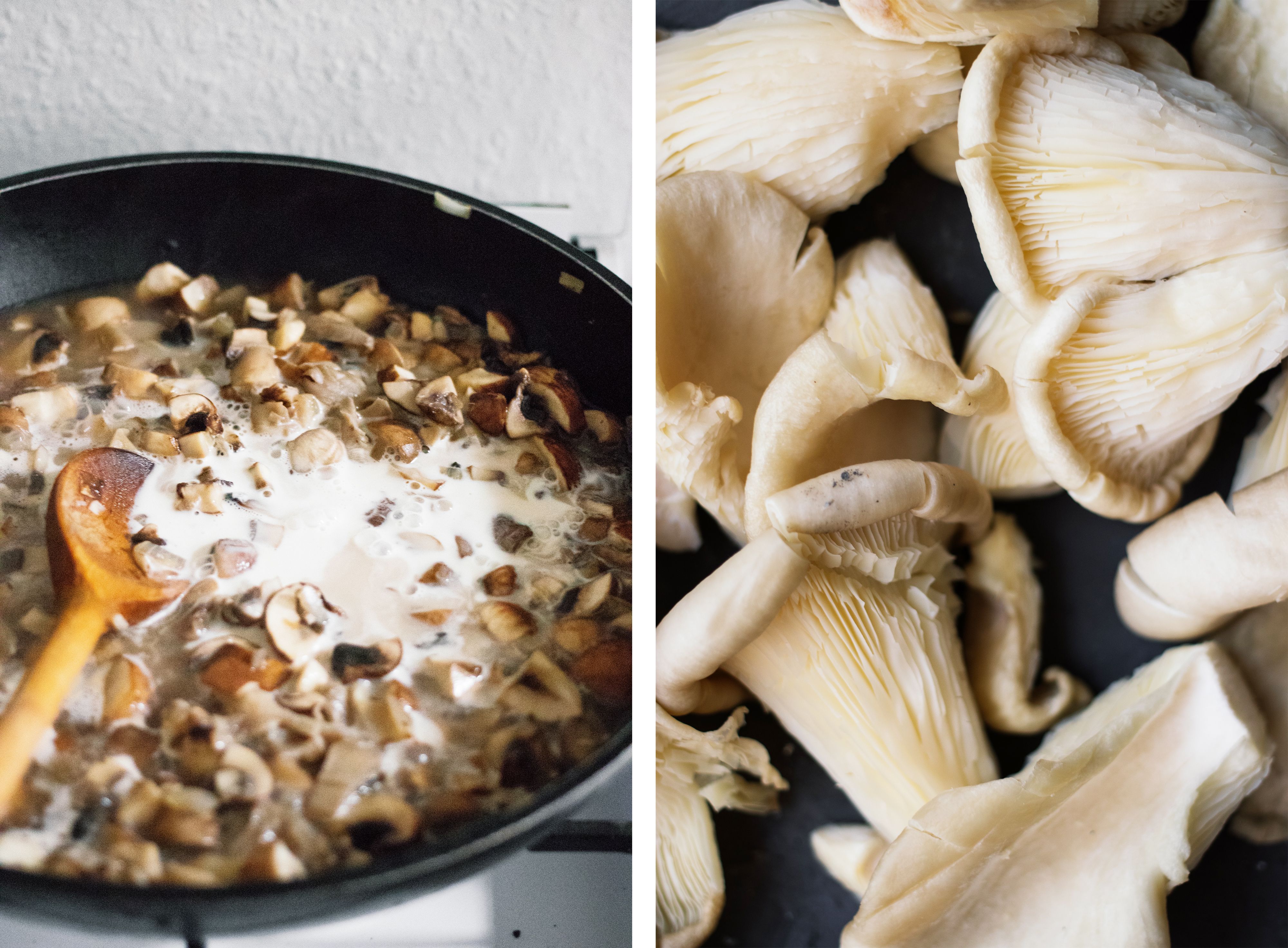 R446 Vegan Potato Dumplings (Schupfnudeln) with Mushrooms Sauce 