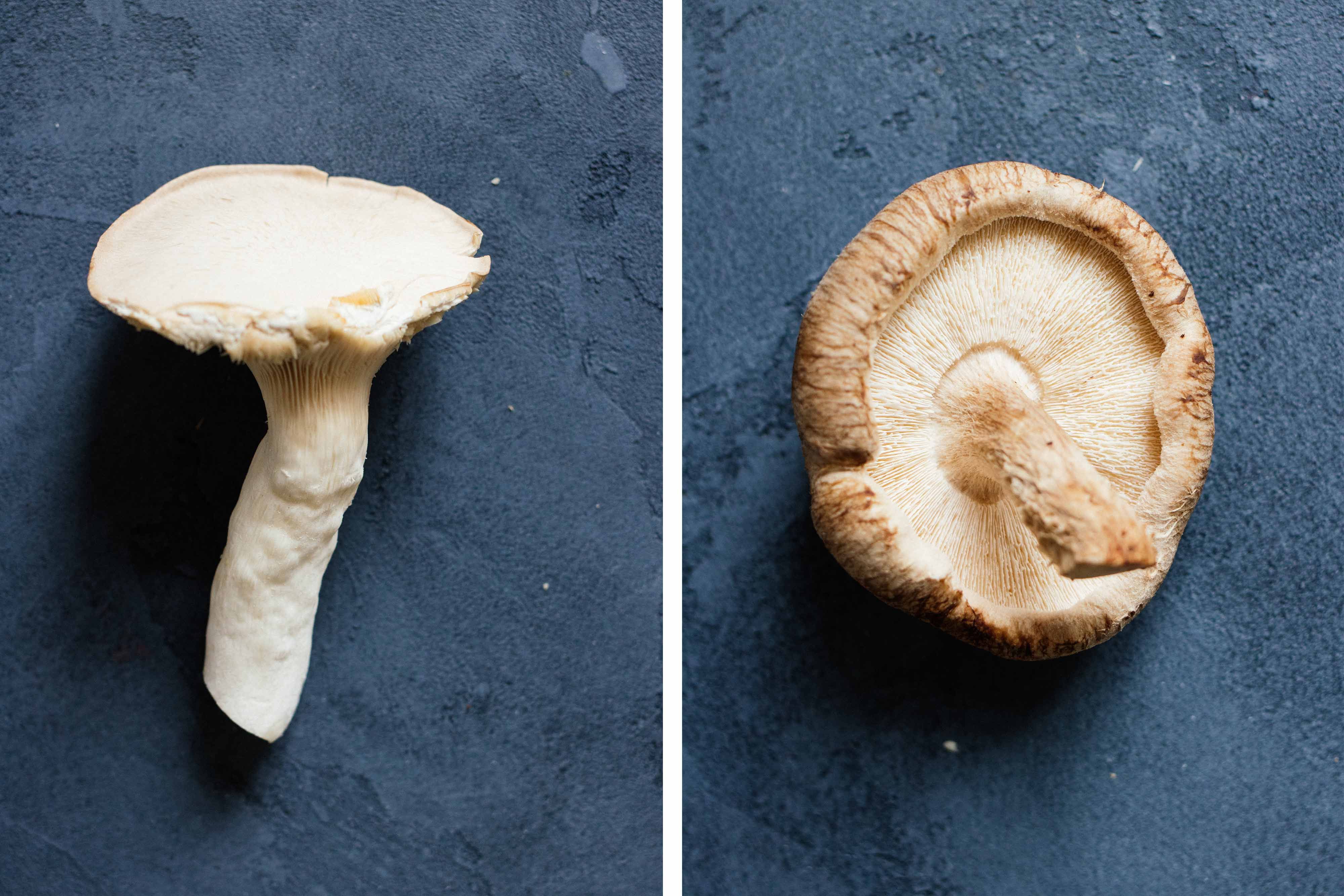 R211 Reis mit Pilzragout in Rahmsoße