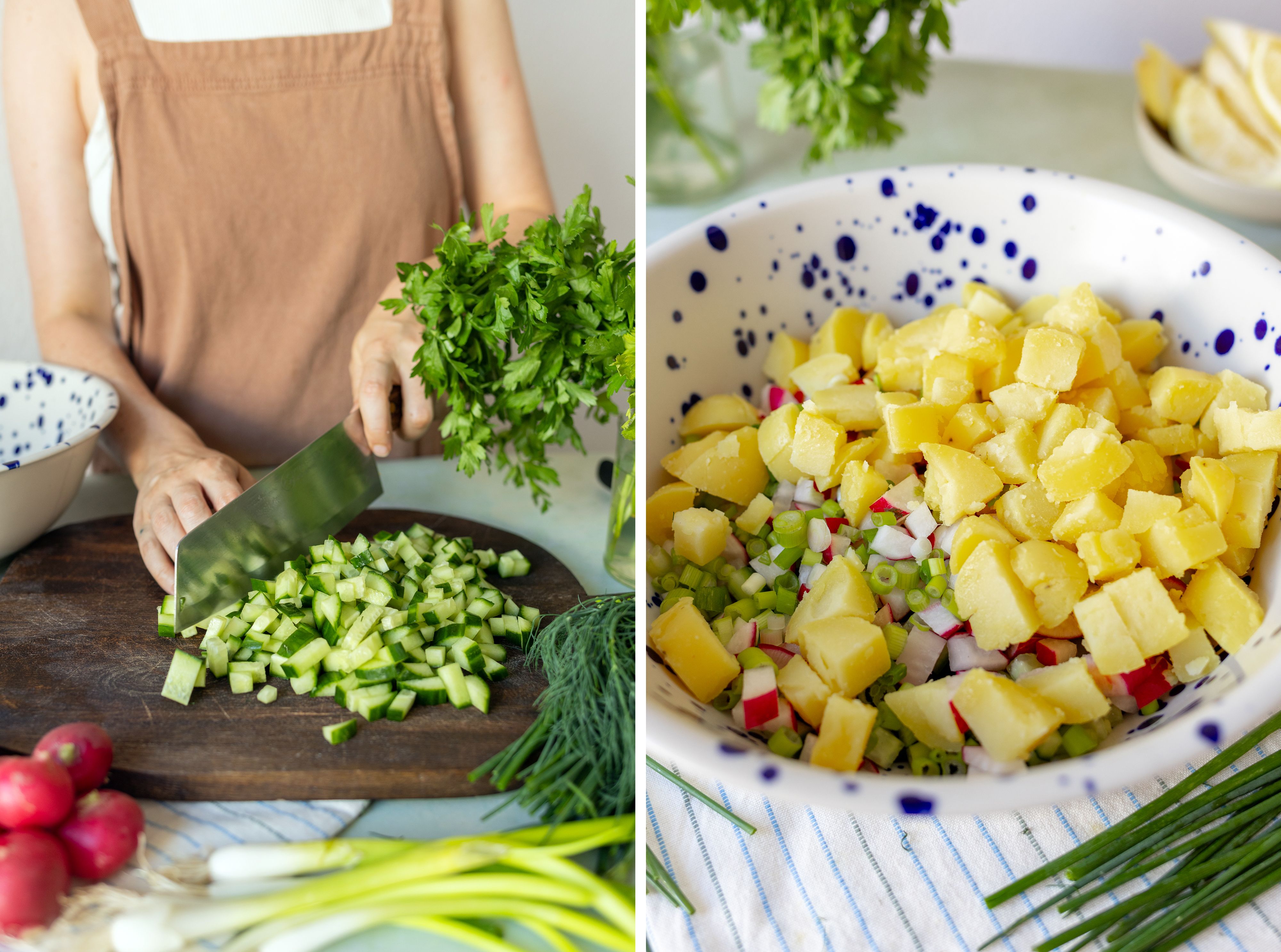 R1047 Vegane Okroshka