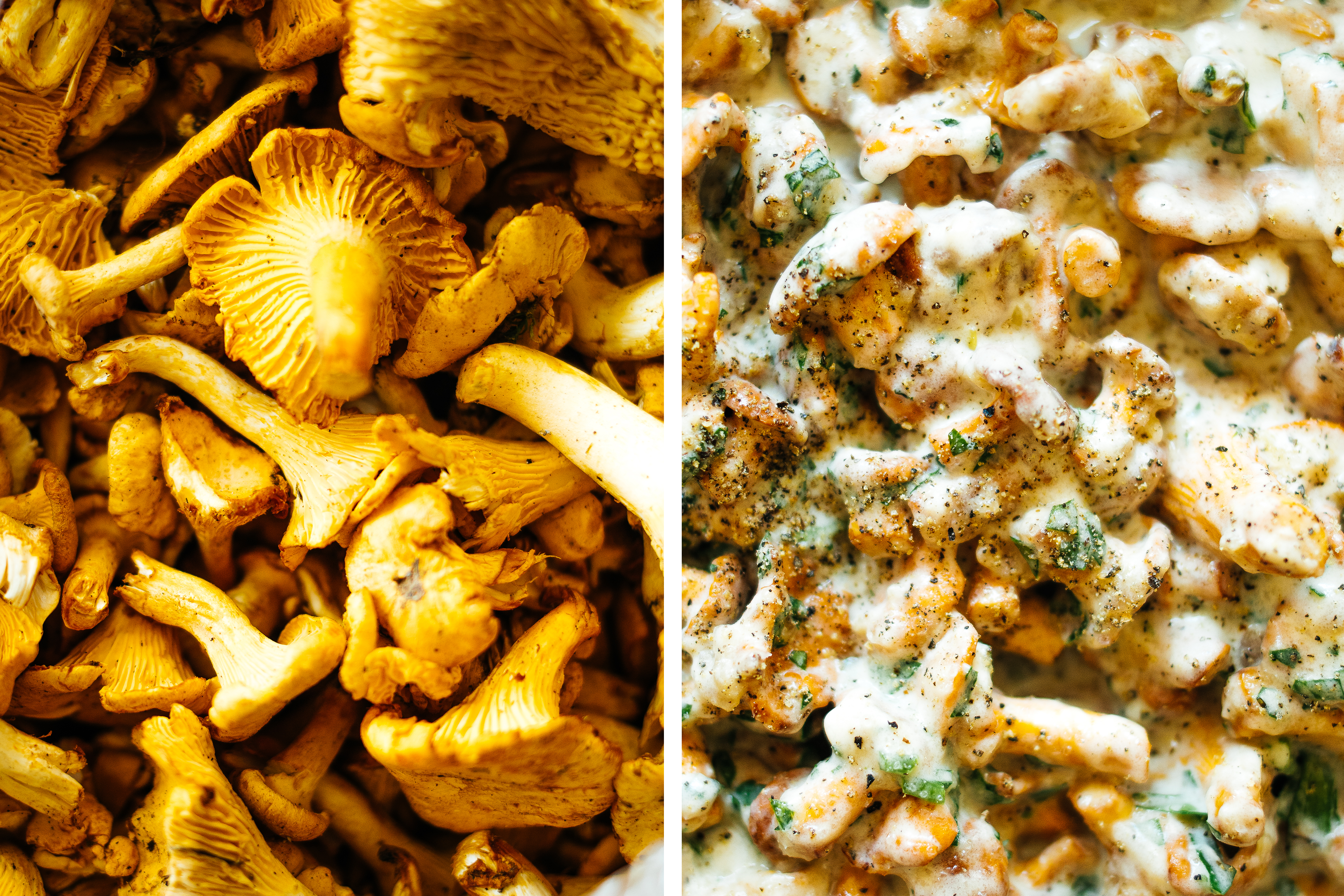 R573 Vegan Pretzel Dumplings with Chanterelle Ragout