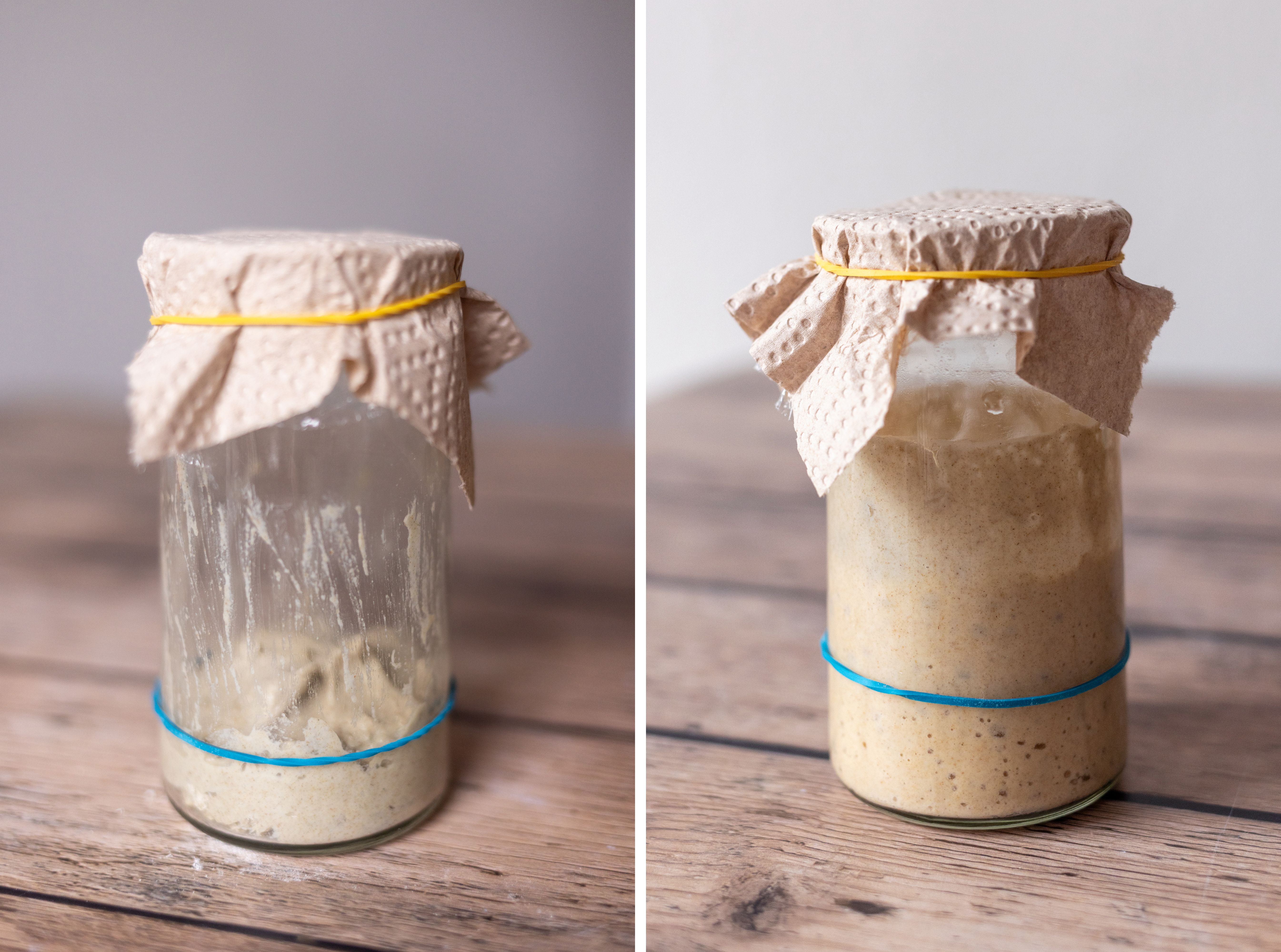 R1023 Sauerteig Schritt für Schritt ansetzen