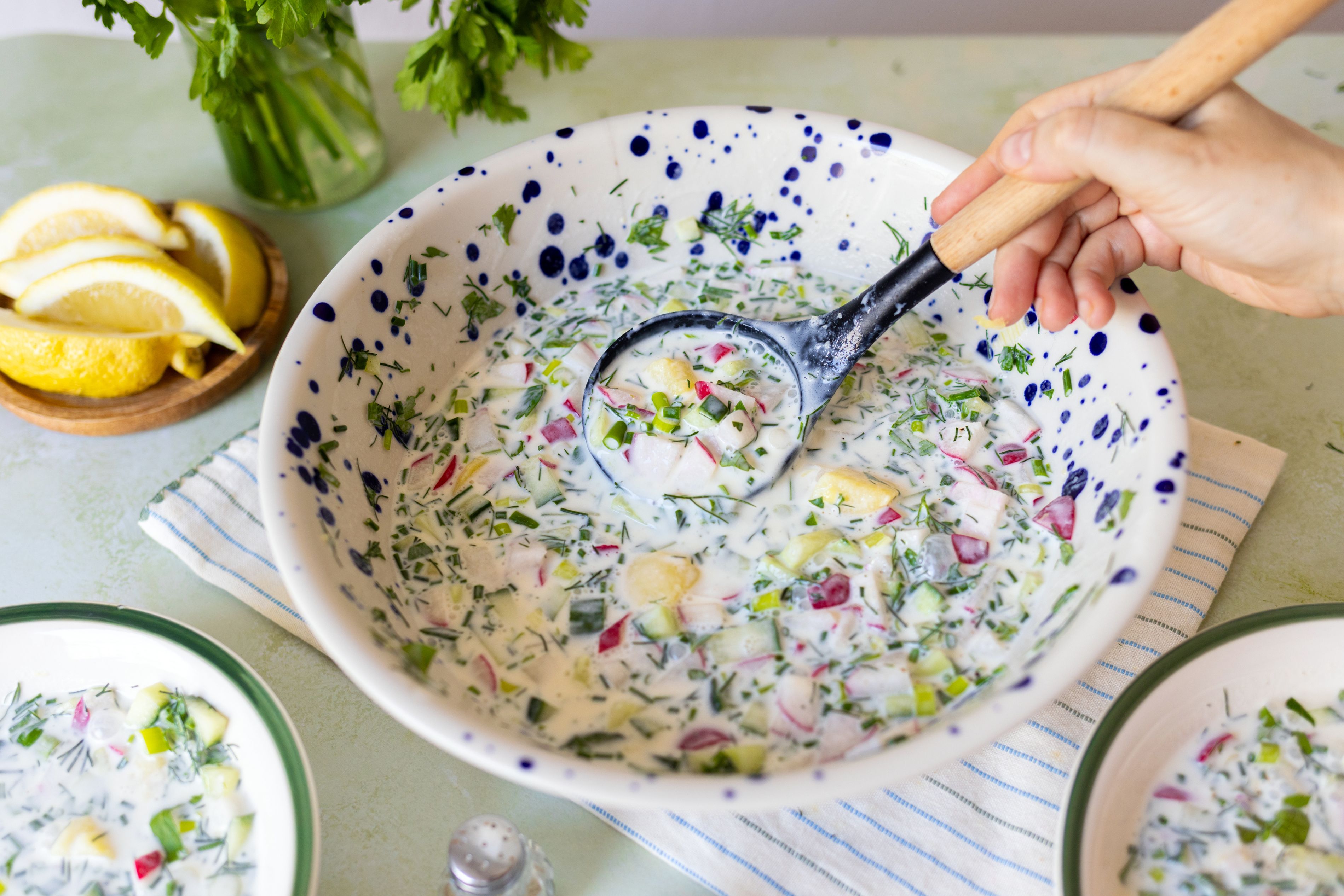 Vegane Okroschka (Kalte russische Suppe)